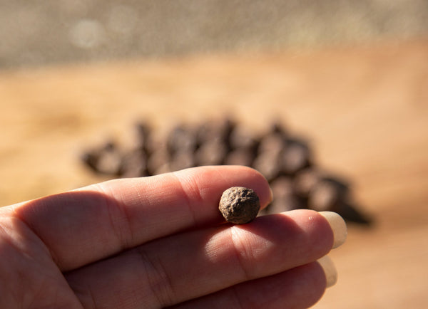 Mini Moqui Marble