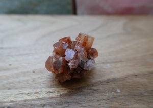 Raw Aragonite Star Cluster Specimen