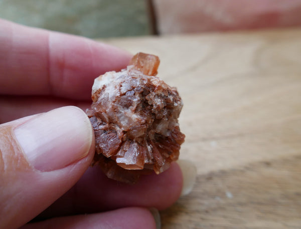 Raw Aragonite Star Cluster Specimen